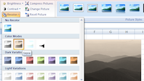 Cara Mengatur Warna Gambar Dengan Menu Recolor Dalam Excel